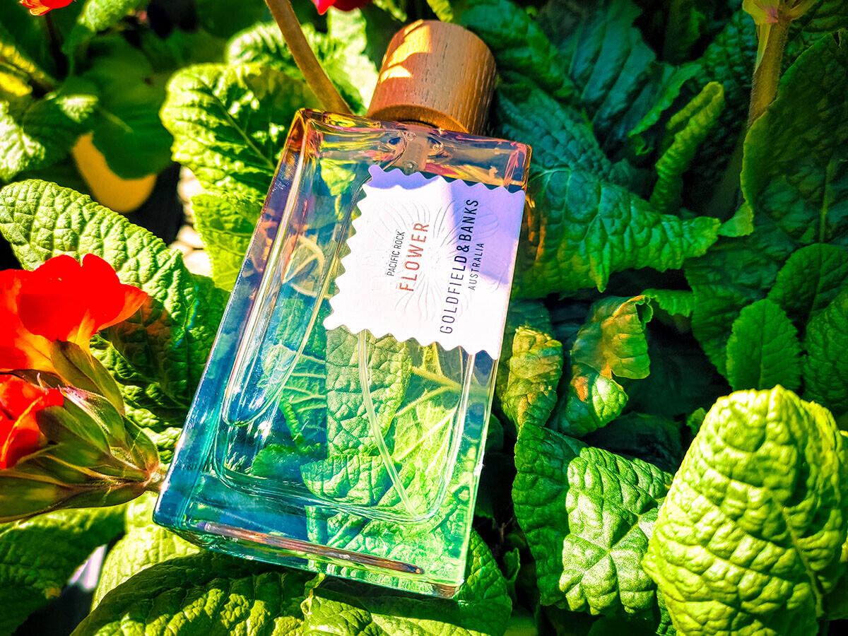 Goldfield&Banks Pacific Rock Flower